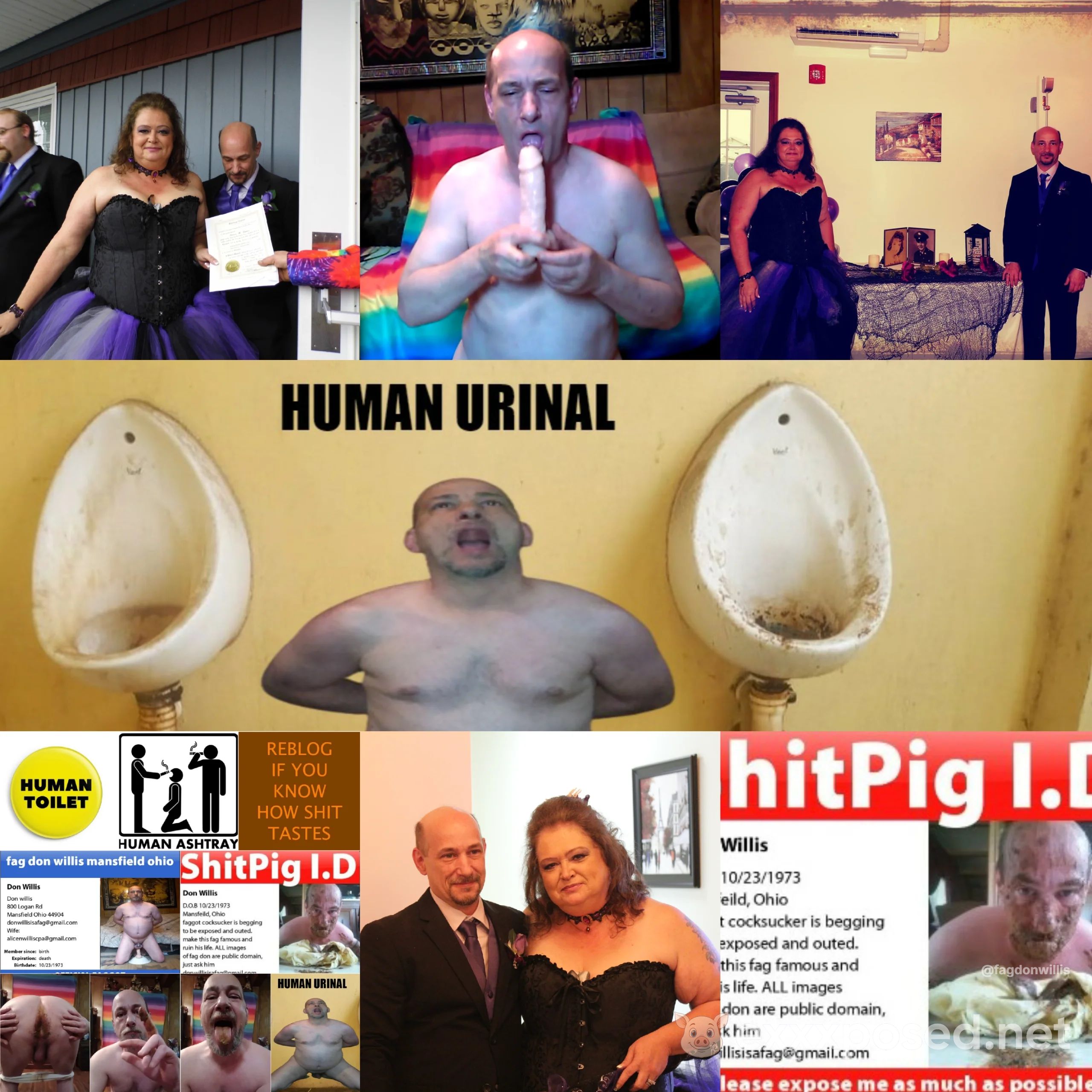 Toilet fag Don Willis exposed for more