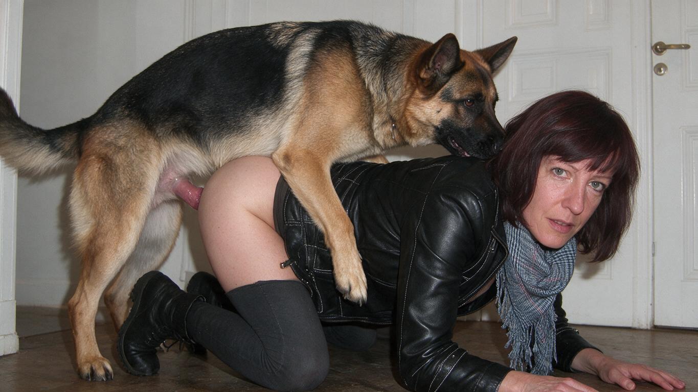 LederladyT Dog 512