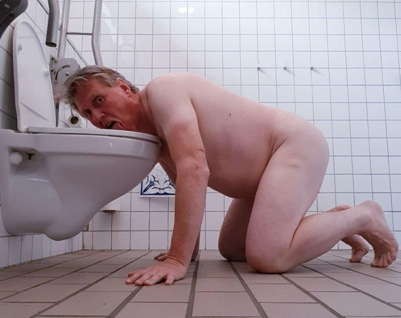 Faggot Lars Hviid licking a public toilet